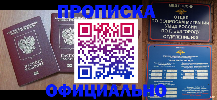 найти адрес прописки в Пестово